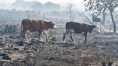 Casi el 100% de la población urbana tiene agua potable y los esfuerzos se orientan hacia la periurbana y rural