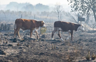 Casi el 100% de la población urbana tiene agua potable y los esfuerzos se orientan hacia la periurbana y rural