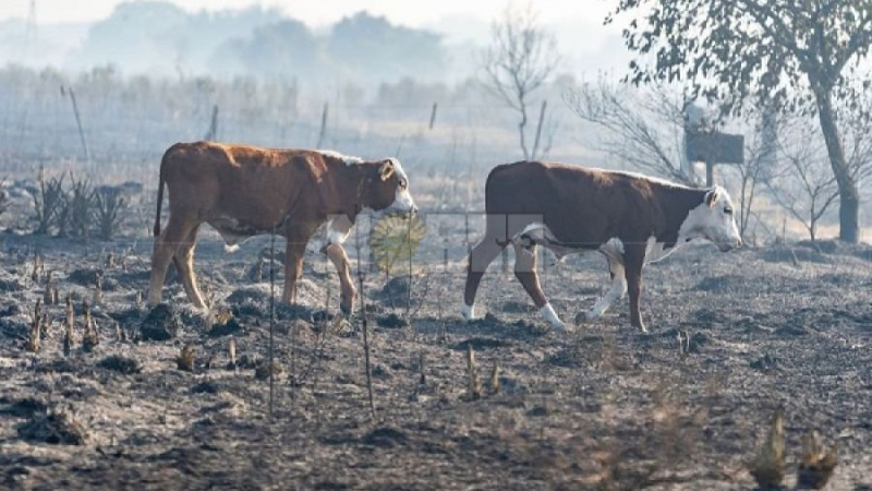 Casi el 100% de la población urbana tiene agua potable y los esfuerzos se orientan hacia la periurbana y rural