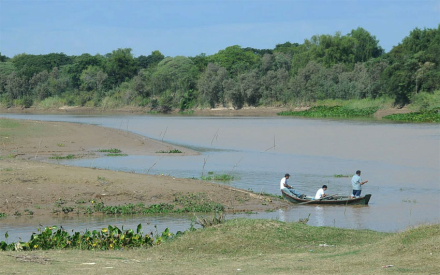 parana.jpg
