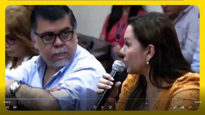 Paraguay: ministra dice que van a quemar cubiertas para eliminar mosquitos