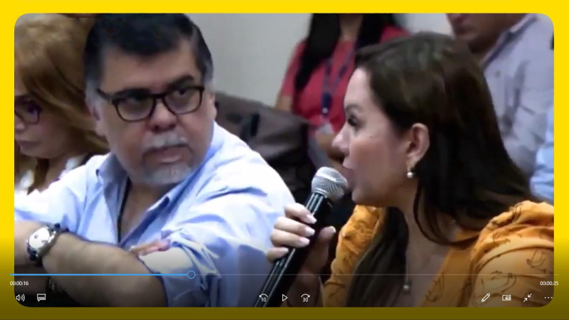 Paraguay: ministra dice que van a quemar cubiertas para eliminar mosquitos