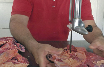 carne.jpg