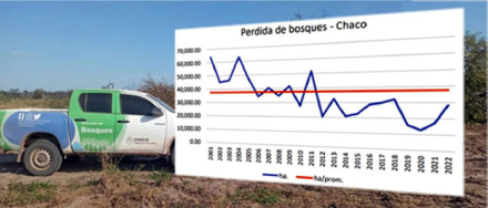 CUADRO.jpg