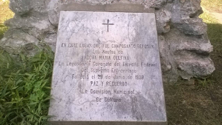 Delfina.jpg