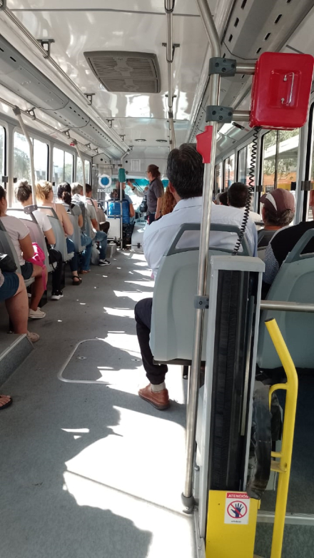 colectivos 03.jpeg