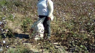 Elegir el campo antes que la ciudad: "Jamás abandonaré la tierra"