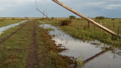 La electrificación rural es un instrumento para el desarrollo productivo