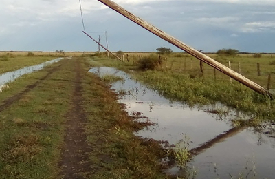 La electrificación rural es un instrumento para el desarrollo productivo