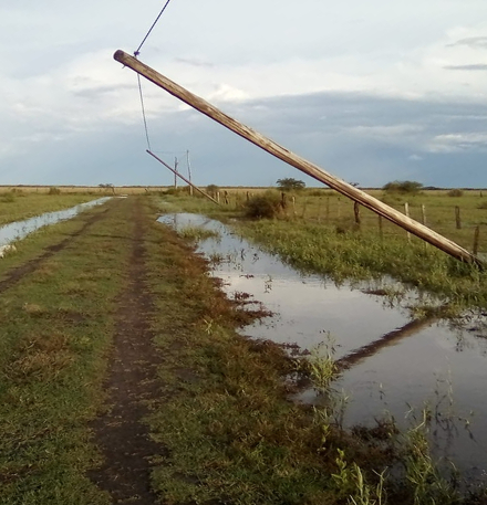 caida de postes.jpg