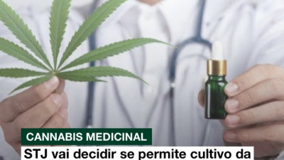 Brasil: la Corte se expedirá sobre el cultivo de cannabis y podría abrir la puerta a la plantación