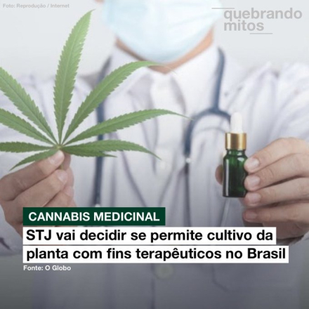 brasil cannabis1.jpg