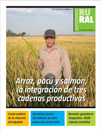 Arroz, pacú y salmón, la integración de tres cadenas productivas