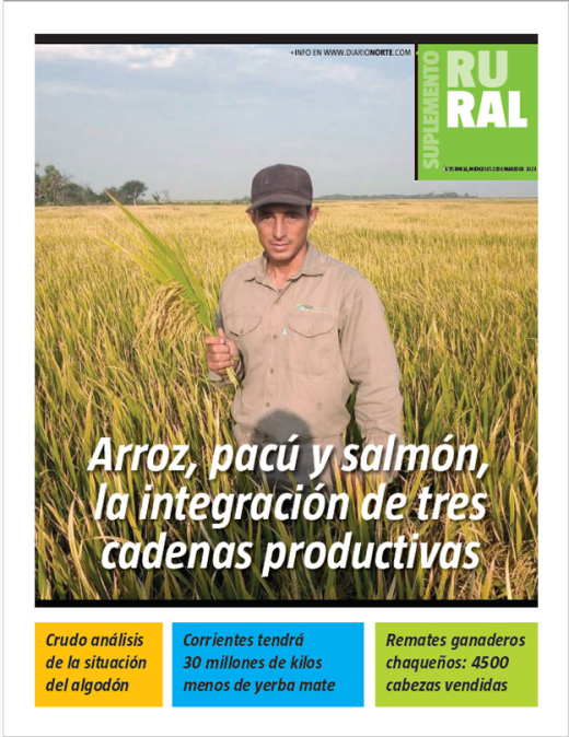 Arroz, pacú y salmón, la integración de tres cadenas productivas