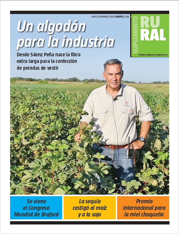 Un algodón para la industria