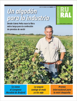 Un algodón para la industria