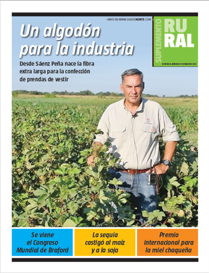 Un algodón para la industria