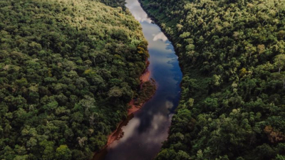 Turismo aventura en la selva