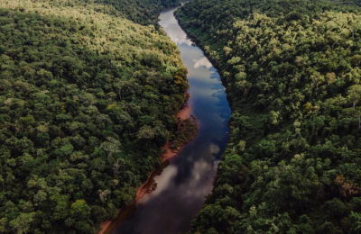 Turismo aventura en la selva