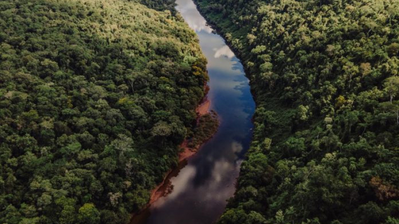 Turismo aventura en la selva