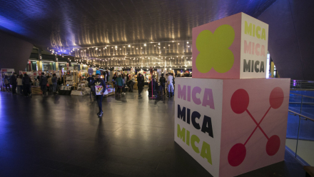 mica_d4_-0093_1.jpg