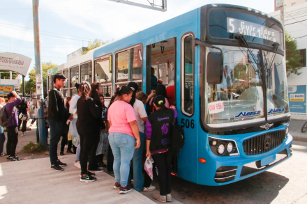 colectivo 1.jpeg