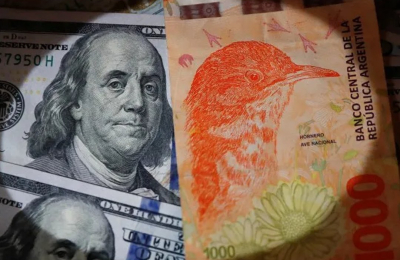 "Hemos internalizado la conducta defensiva de dolarizarnos para proteger el patrimonio"