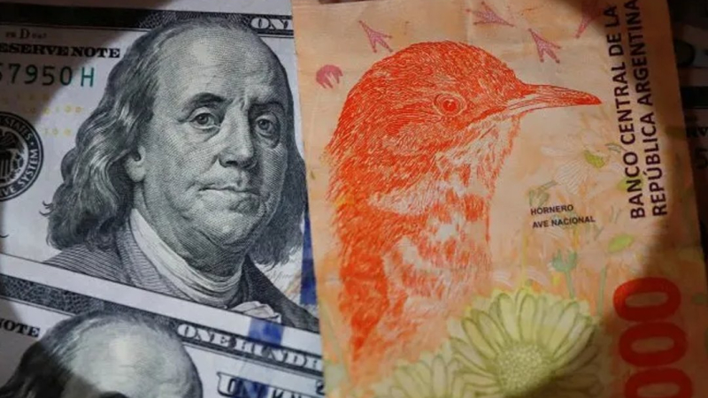 "Hemos internalizado la conducta defensiva de dolarizarnos para proteger el patrimonio"