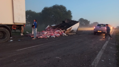Volcó un camión frigorífico: dos lesionados y más de veinte reses cayeron a la ruta
