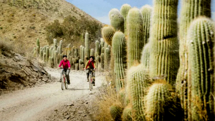 SALTA Parque Nacional Los Cardones.jpg