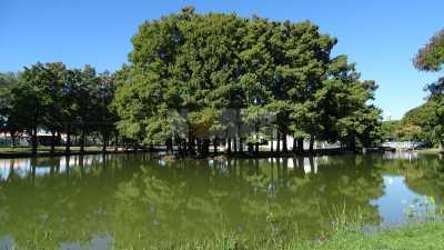 El martes será el día más caluroso con 28 ºC de máxima