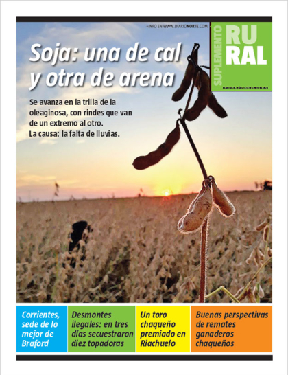 Soja: una de cal y otra de arena