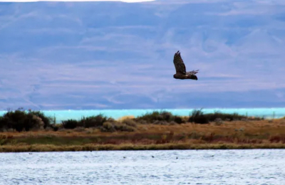 Un paisaje urbano que se distiende con la Reserva Natural Laguna Nimez  