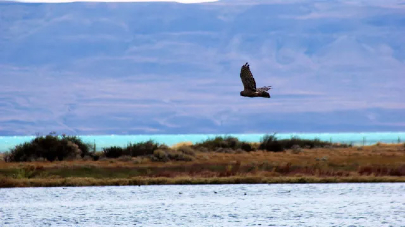 Un paisaje urbano que se distiende con la Reserva Natural Laguna Nimez  
