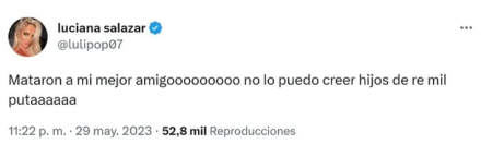luli3.jpg