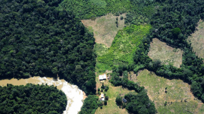 Ambientalistas advierten que el Amazonas está llegando a un punto de no regeneración