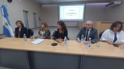 "Tenemos números altísimos de femicidios y fiscalías trabajando de forma completa"