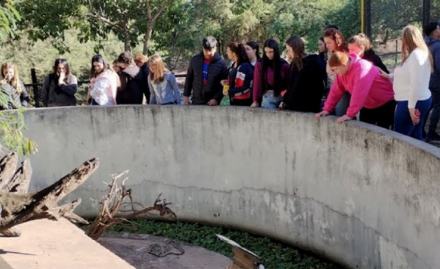 zoo.jpg