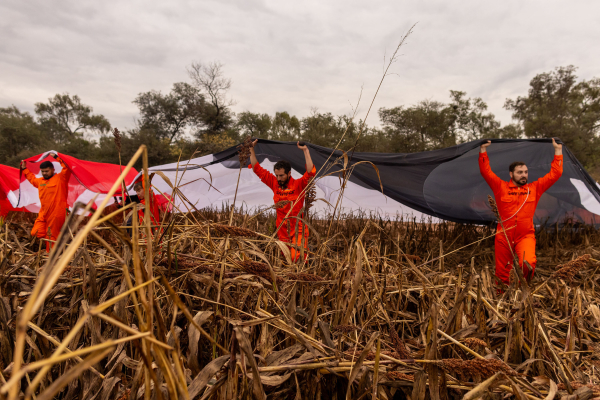 © Sebastian Pani / Greenpeace