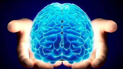 Día del Cerebro: 1 de cada 3 personas padecerá trastornos neurológicos