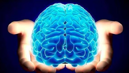 dia del cerebro.jpeg