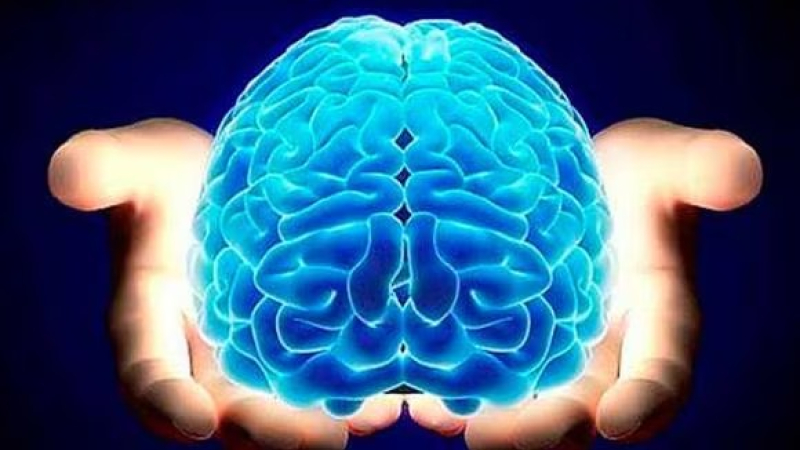 Día del Cerebro: 1 de cada 3 personas padecerá trastornos neurológicos