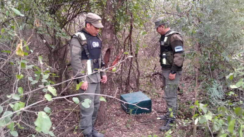 Encontraron más cocaína cerca del avión caído de Avia Terai