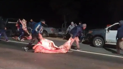 Volcó un camión con más de 20 mil kilos de carne y los vecinos los saquearon