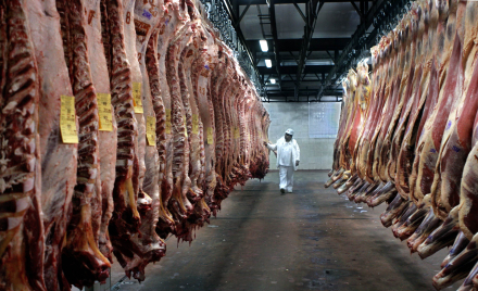 20230312-Carnes-00.jpg