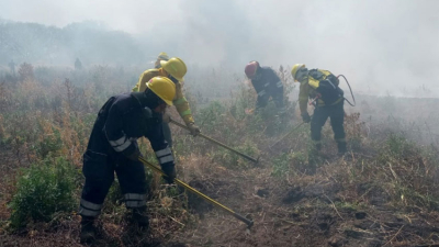 Trabajo incansable de bomberos para controlar incendios forestales