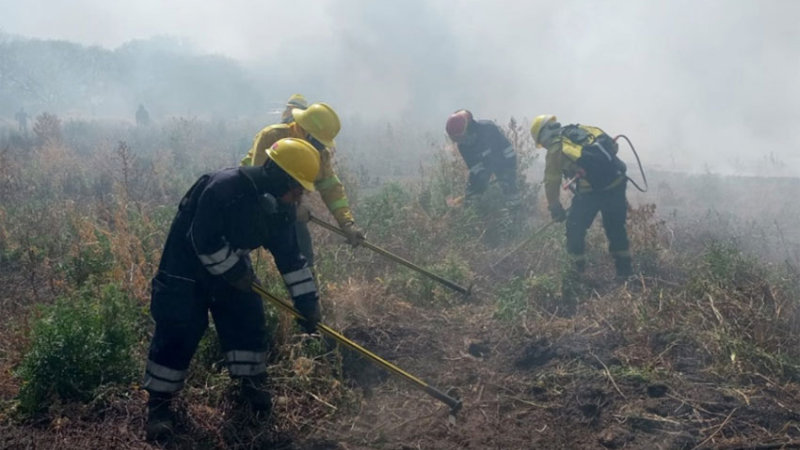 Trabajo incansable de bomberos para controlar incendios forestales