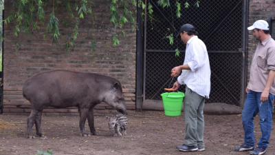 La niñez celebra hoy en el Complejo Ecológico Municipal de Sáenz Peña