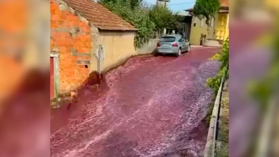 Un río de vino inundó las calles de un pueblo de Portugal