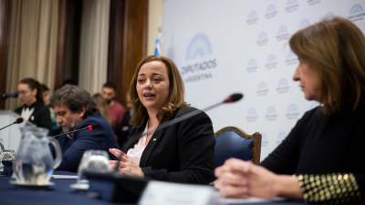 Cecilia Moreau confirmó que mañana ingresará el Presupuesto y el lunes convocan a comisión